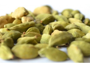 С��ޢ�Ĺ�Ч������ ��ޢ������