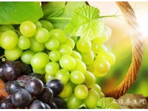 ��μ���Ƥ�����������ٶȣ�