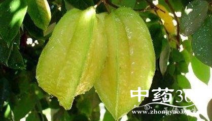 t017aa6e07a2289e395.jpg t017aa6e07a2289e395.jpg