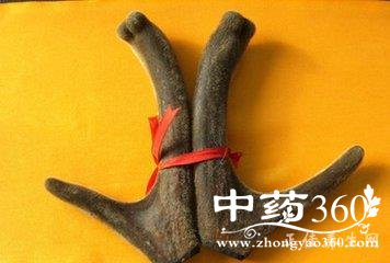 t0149105d9b4bde019f.jpg t0149105d9b4bde019f.jpg