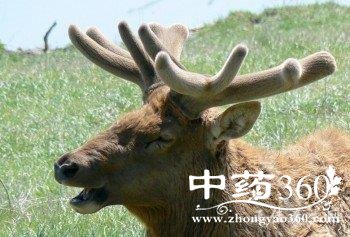 t01b7458bf171fac940.jpg t01b7458bf171fac940.jpg