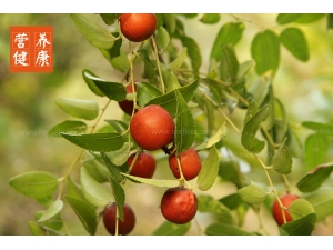 �����桿����Ĺ�Ч�����ü�ʳ�÷���