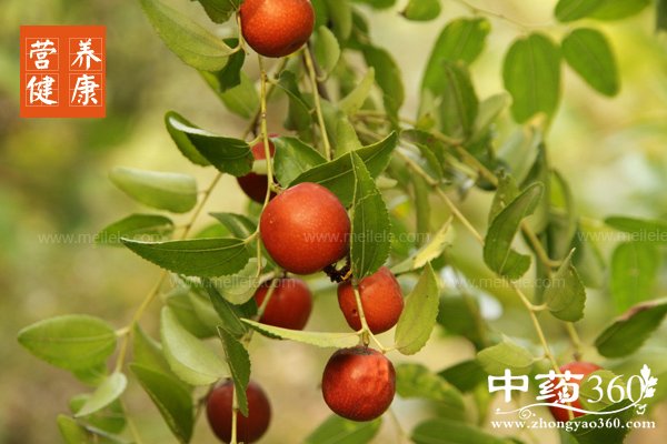 chihongshuhuifapangma