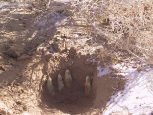 �����ز�������