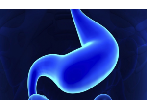 Ԥ��θ����ʲô�� �ճ����Ԥ��θ��