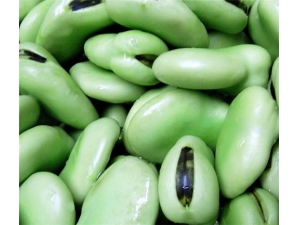 �϶��Ĺ�Ч������ ������Ƣ�ֿ���