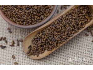 决明子中药减肥茶配方