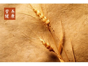 ����ѿ����ѿ�Ĺ�Ч�����ü�ʳ�÷���