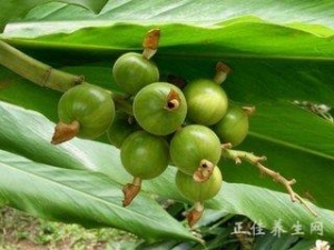 �ݶ�ޢ����ЩӪ����ֵ��