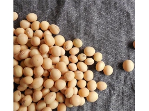 �ƶ��Ĺ�Ч������ ���׻�������֬