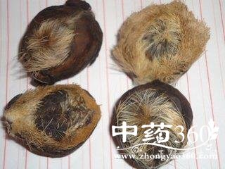 t01ba6cc74164388b08.jpg t01ba6cc74164388b08.jpg