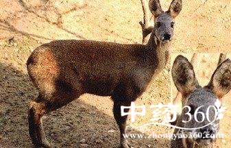 t01434d1f1e6cff562b.jpg t01434d1f1e6cff562b.jpg