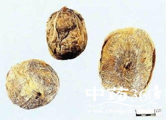 t01354bf20ddaaf3882.jpg t01354bf20ddaaf3882.jpg