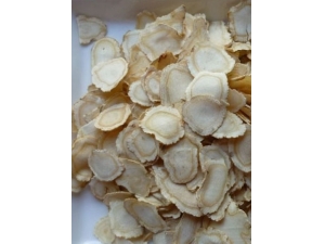 ���������˿�������� ���������Ƽ�ʳ��