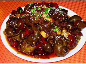 �ͱ��ݻ������� �ͱ��ݻ�����ô����