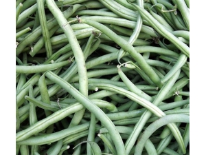 �Ͷ��ǵĹ�Ч������ ��ʪ��Ƣ��Ч��