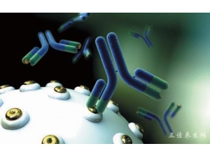 �����������ҩ��ԭ��ҩ���������˸����ѡ��