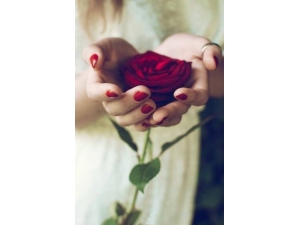 õ徫кιЧ ݽŹЧٱ