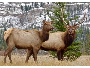 ¹�׷�Ƭ��ô�� ¹�׷�Ƭ�Ͱ�Ƭ������