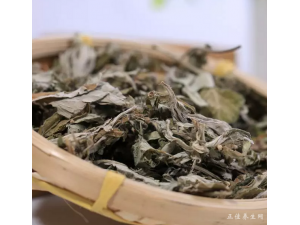 �����úð�Ҷ�����ڶ񺮡�ʪ��������ͳͳɨ��