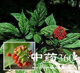 t0164ba1d75147eb78d.jpg t0164ba1d75147eb78d.jpg