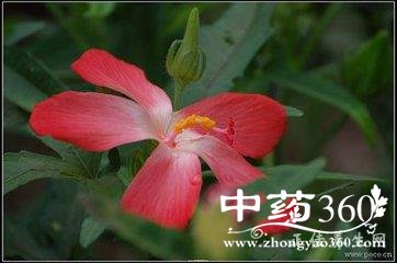 t01b77a1a854f4a3b21.jpg t01b77a1a854f4a3b21.jpg