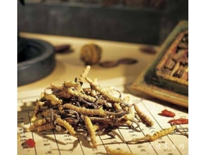 ��������ҩ��ȫ ����ղ�Ŷ