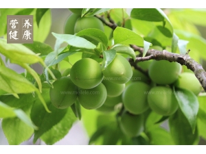 ����Ĺ�Ч������ ���ʵ�ý��ɽ��ܣ�