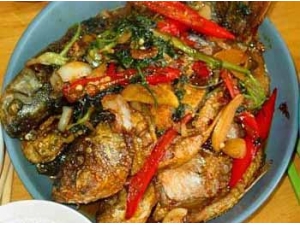 ������������� ������������ô����