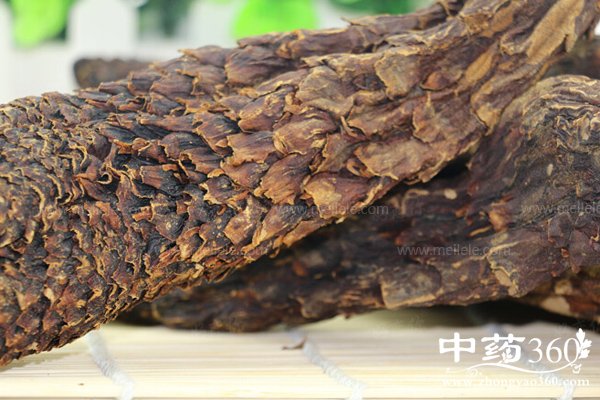 roucongrongdegongxiao