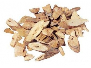 ���ε�������ܲ���Ѫ��