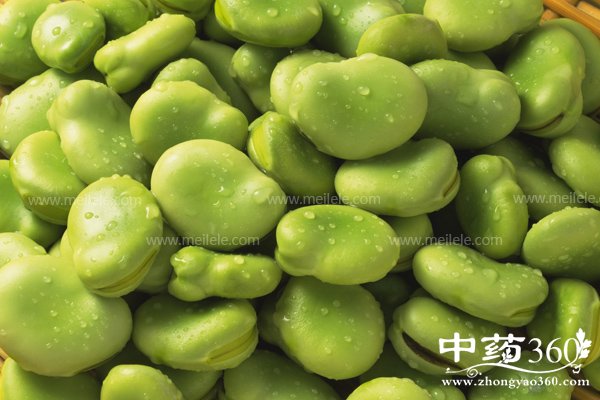 hudoudeyingyangjiazhi