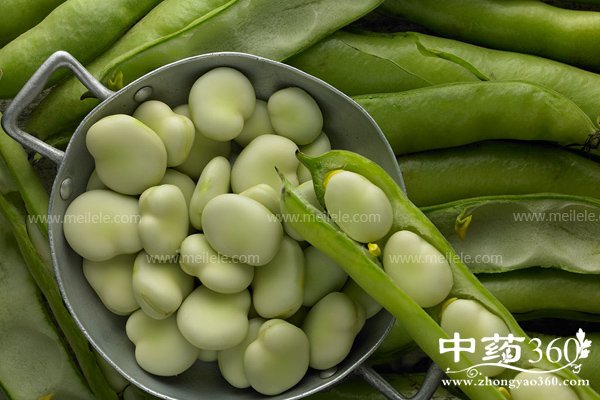 hudoudeyingyangjiazhi