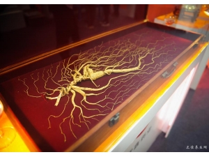 �˲εĹ�Ч��ȫ �˲ε�ҩ�ü�ֵ