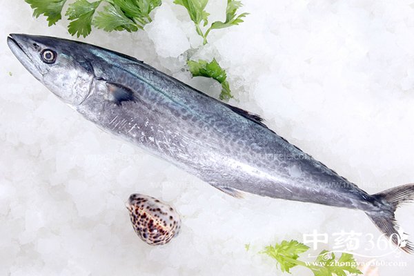 majiaoyuyingyangjiazhi