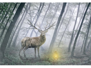 ����¹������������ ʲô�˲��ܳ԰���