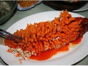 ɺ������������ ɺ����������ô����