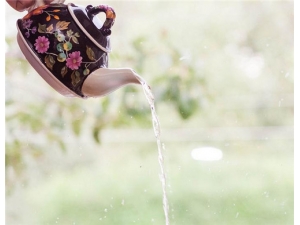 ��к��Ч������ ����к��Ч����