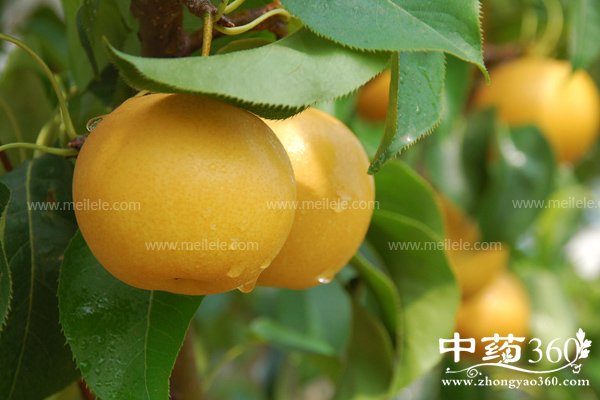 wanfanhouduojiuyundong