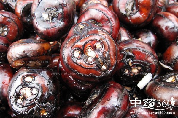 biqishuidegongxiaoyuzuoyong