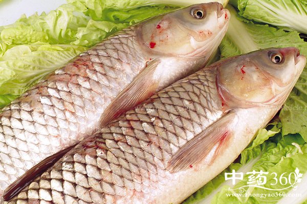 caoyudeyingyangjiazhijigongxiao