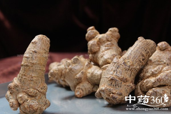 chishenmehuoxuehuayu