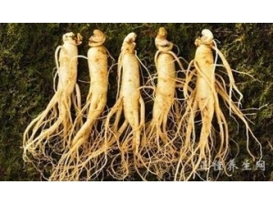 �����˲������� �˲εĹ�Ч