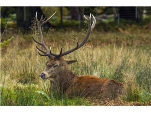 䶳¹׽ǵĳԷ Ů˳¹׵ĺô