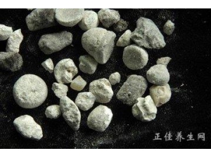 �˹����ûƵ����� ���ûƵ�ҩ�ü�ֵ