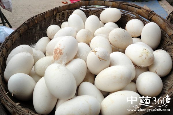 erdanhejidandeyingyangjiazhi