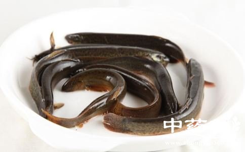 ����Ҫע��ʲô �̶����ܽ�Ѫѹ�� ʳ�����β�������