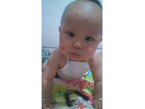 �����������ԭ�� �������Ч�����