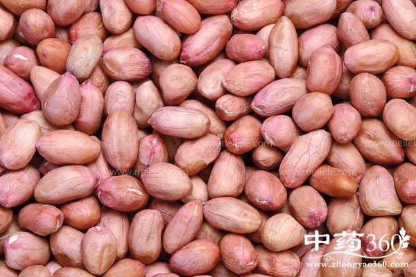 chihuashengmihuifapangma