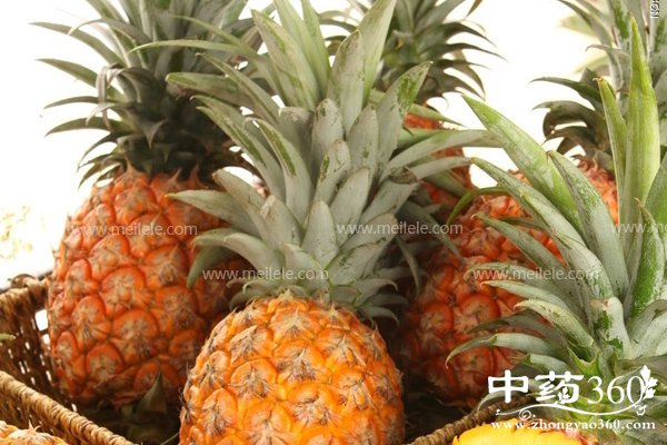 boluodeyingyangjiazhijigongxiao